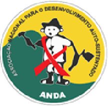 ANDA